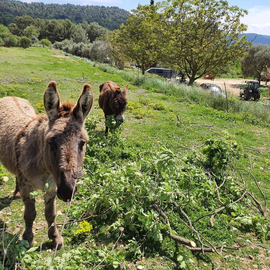 Bastide Bellugue Maison D'Hotes Reseau Bienvenue A La Ferme A 3 Minutes De Lourmarin Cadenet Exteriör bild