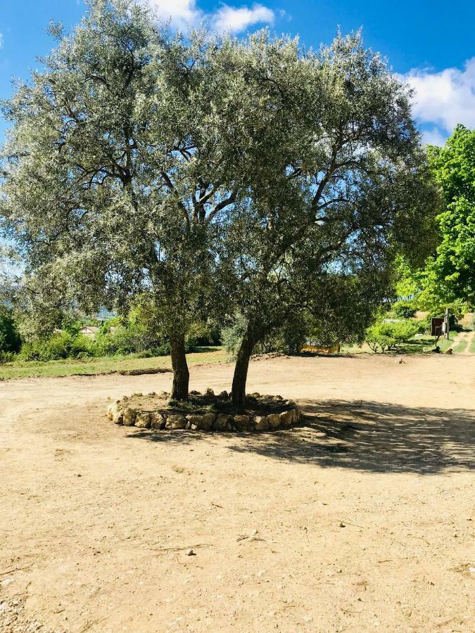 Bastide Bellugue Maison D'Hotes Reseau Bienvenue A La Ferme A 3 Minutes De Lourmarin Cadenet Exteriör bild